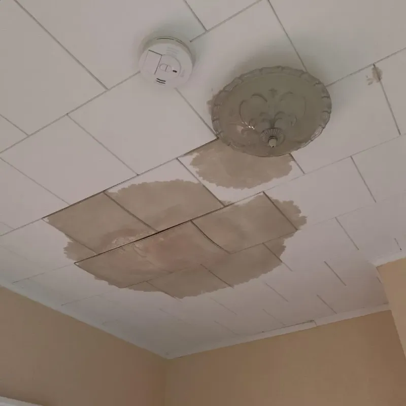 Ceiling Water Damage Repair in Rancho Alegre, TX