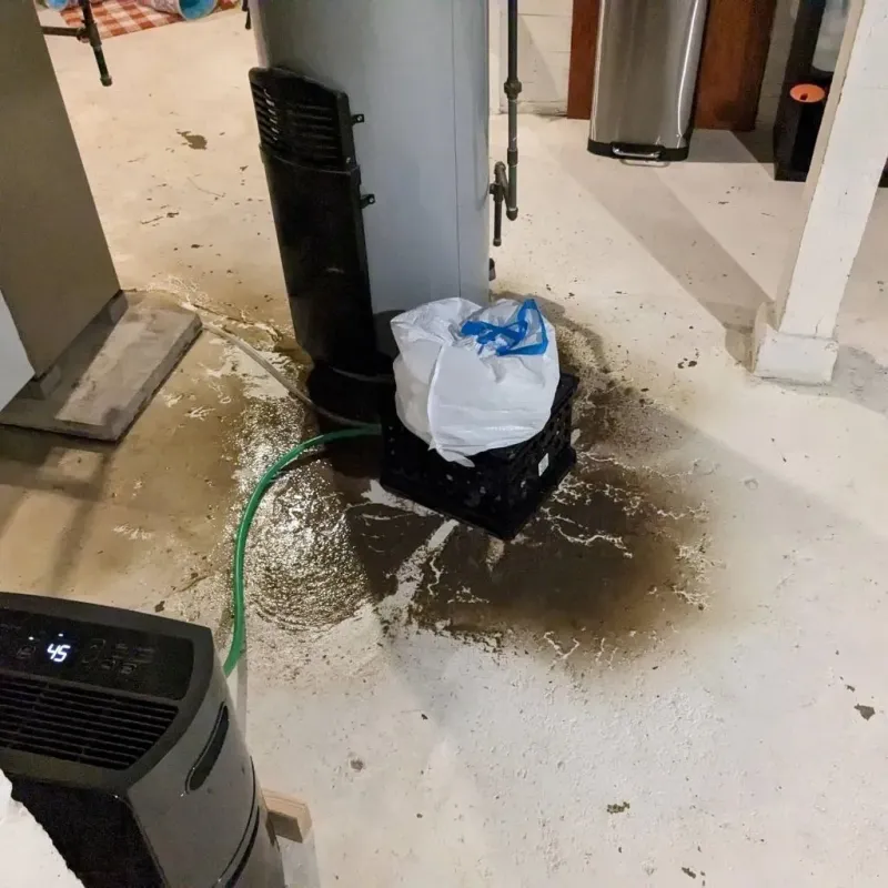 Sewage Backup Cleanup Service in Rancho Alegre, TX
